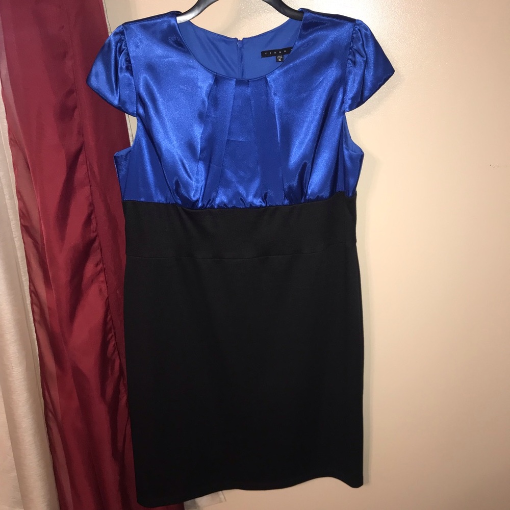 Tiana B. 💎 Dress Size 16
